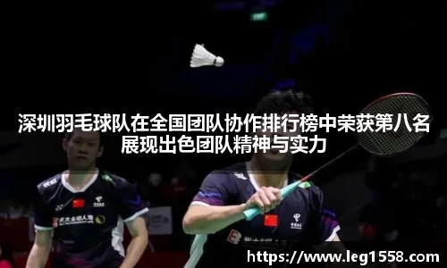 深圳羽毛球队在全国团队协作排行榜中荣获第八名展现出色团队精神与实力